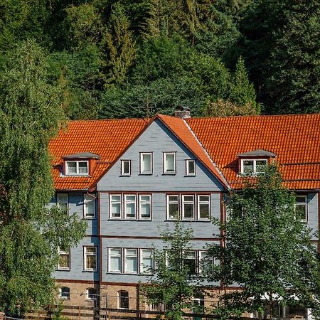 Fewo-Lerbachtal Osterode am Harz 外观 照片