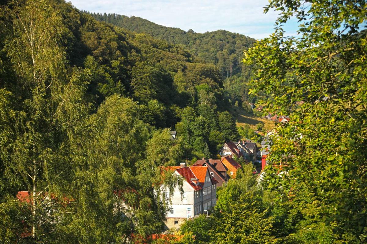Fewo-Lerbachtal Osterode am Harz 外观 照片