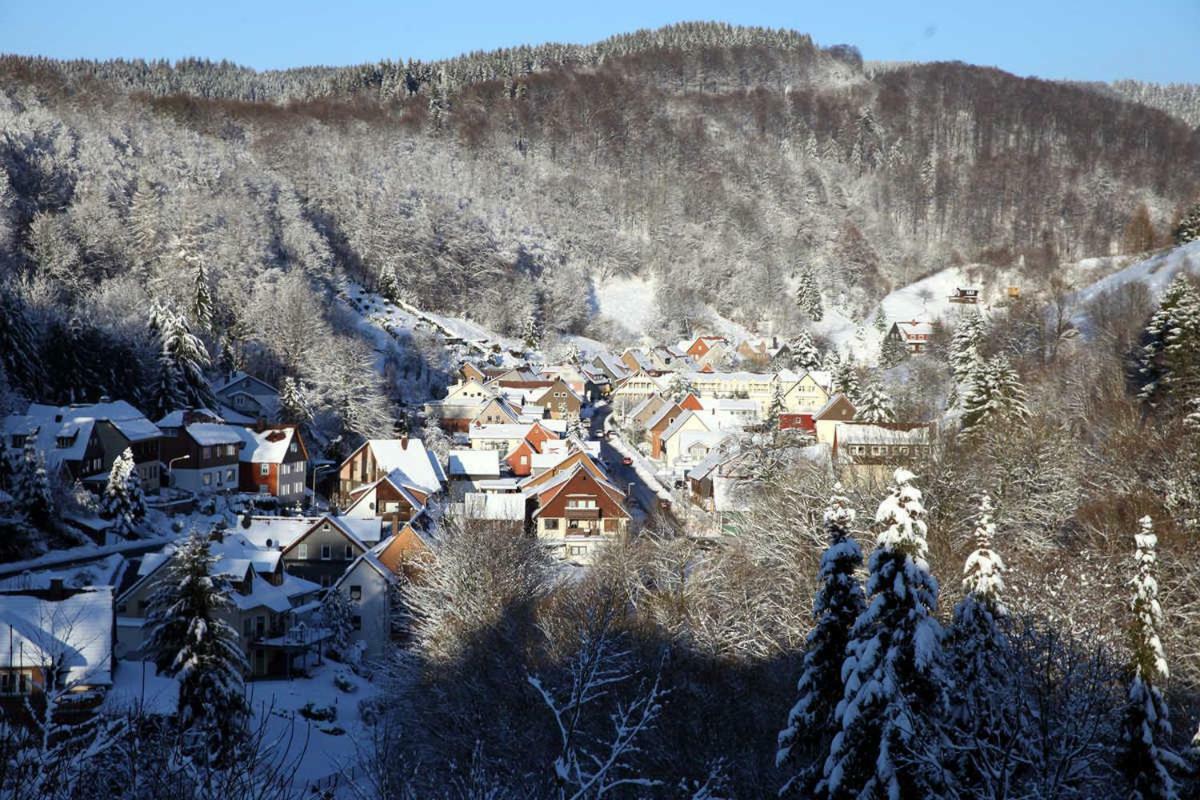 Fewo-Lerbachtal Osterode am Harz 外观 照片