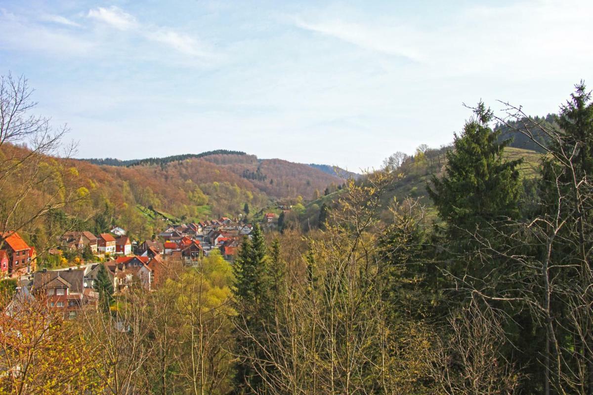 Fewo-Lerbachtal Osterode am Harz 外观 照片